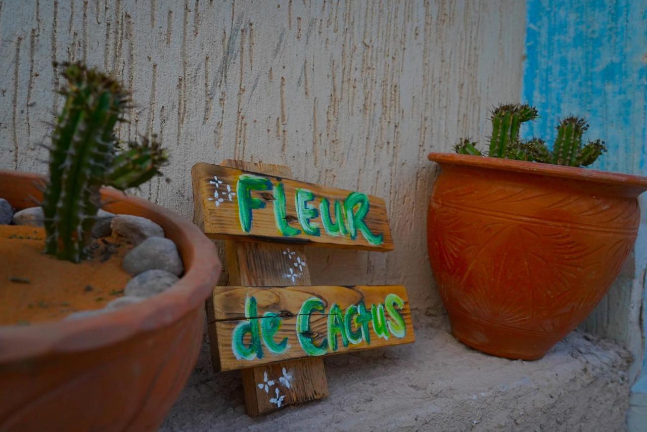 Fleur De Cactus, Guesthouse, Tamraght Екстер'єр фото